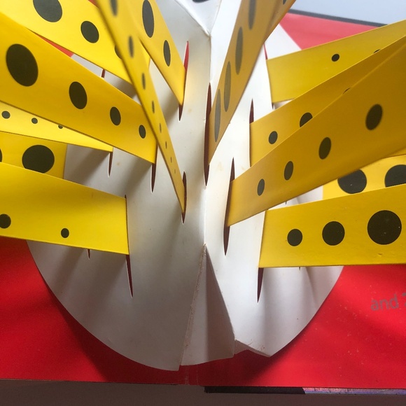 Hide and Seek Pop-Up Book David A. Carter - Picture 15 of 16